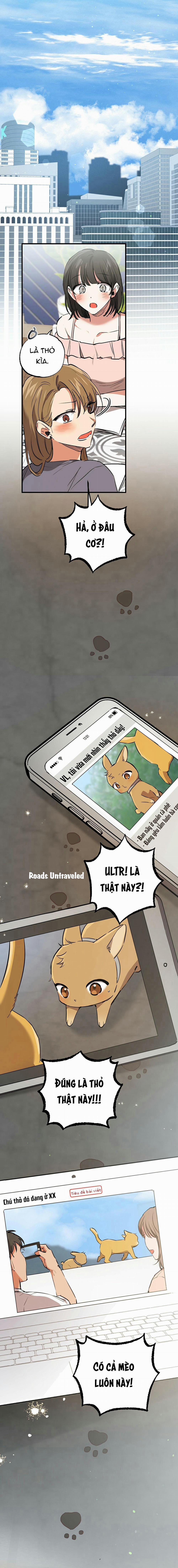 Những Chú Thỏ Của Habibi 48 trang 5