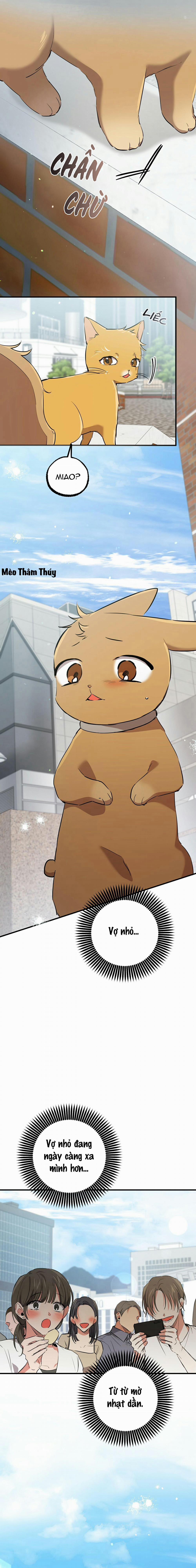 Những Chú Thỏ Của Habibi 48 trang 6