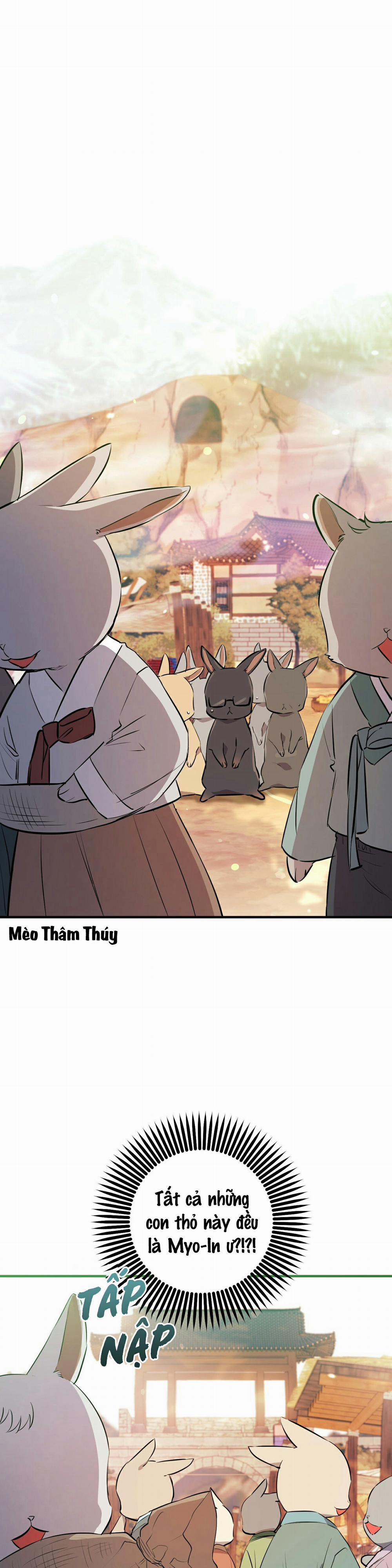 Những Chú Thỏ Của Habibi 49 trang 0