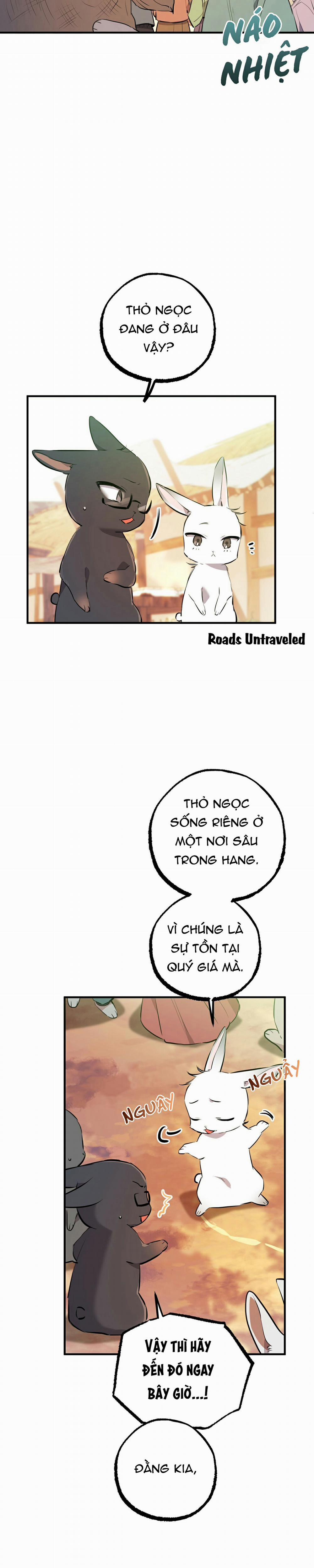 Những Chú Thỏ Của Habibi 49 trang 1