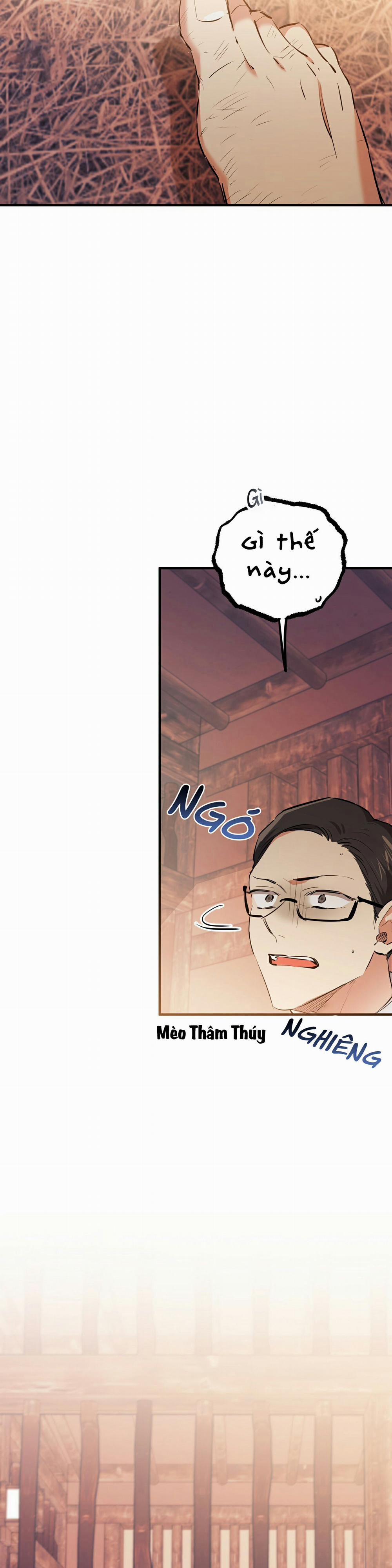 Những Chú Thỏ Của Habibi 49 trang 10