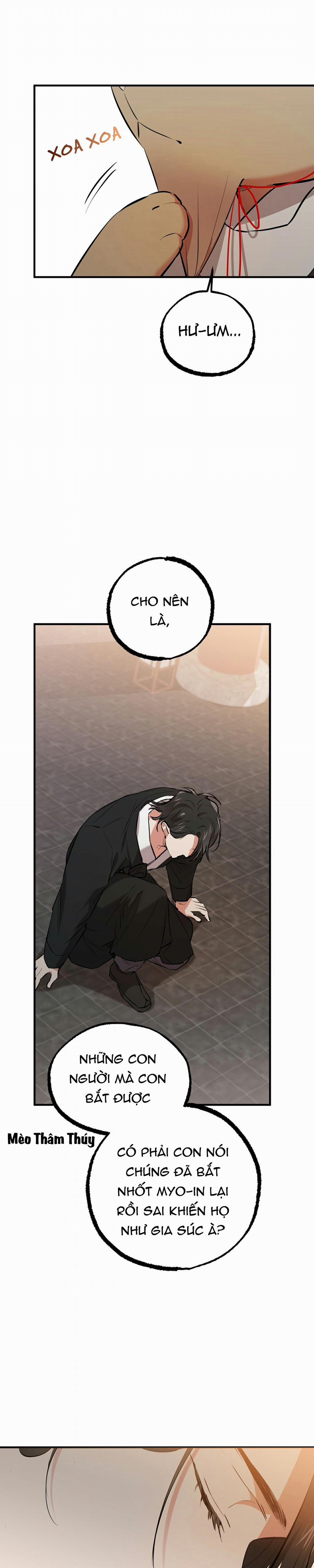 Những Chú Thỏ Của Habibi 49 trang 12