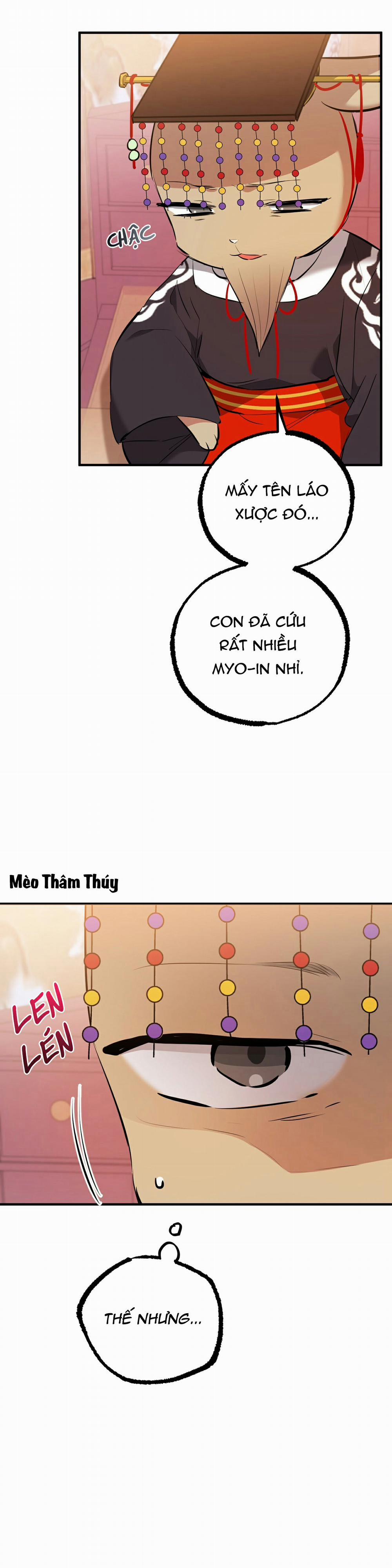 Những Chú Thỏ Của Habibi 49 trang 14
