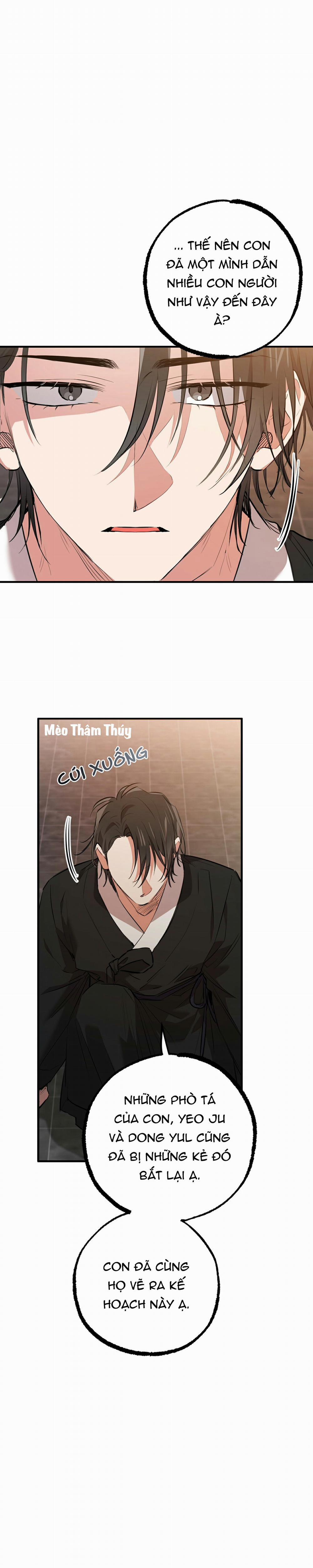 Những Chú Thỏ Của Habibi 49 trang 16