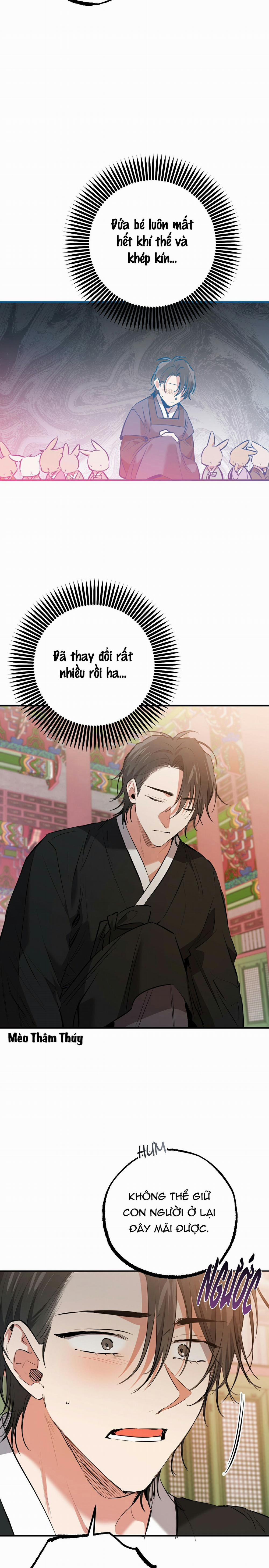 Những Chú Thỏ Của Habibi 49 trang 18