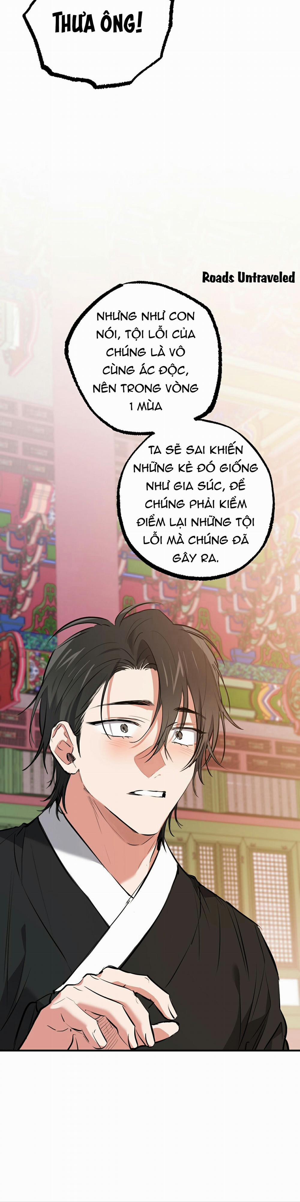 Những Chú Thỏ Của Habibi 49 trang 19