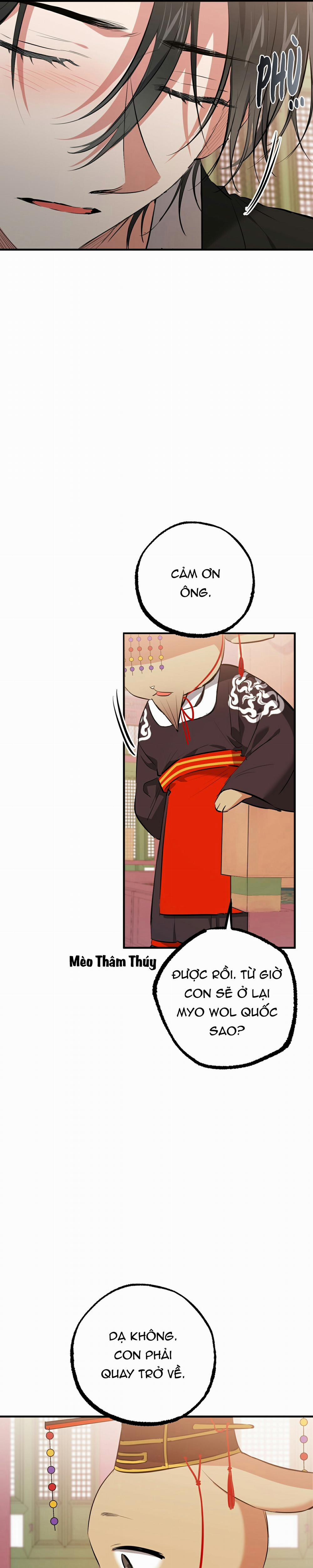 Những Chú Thỏ Của Habibi 49 trang 20