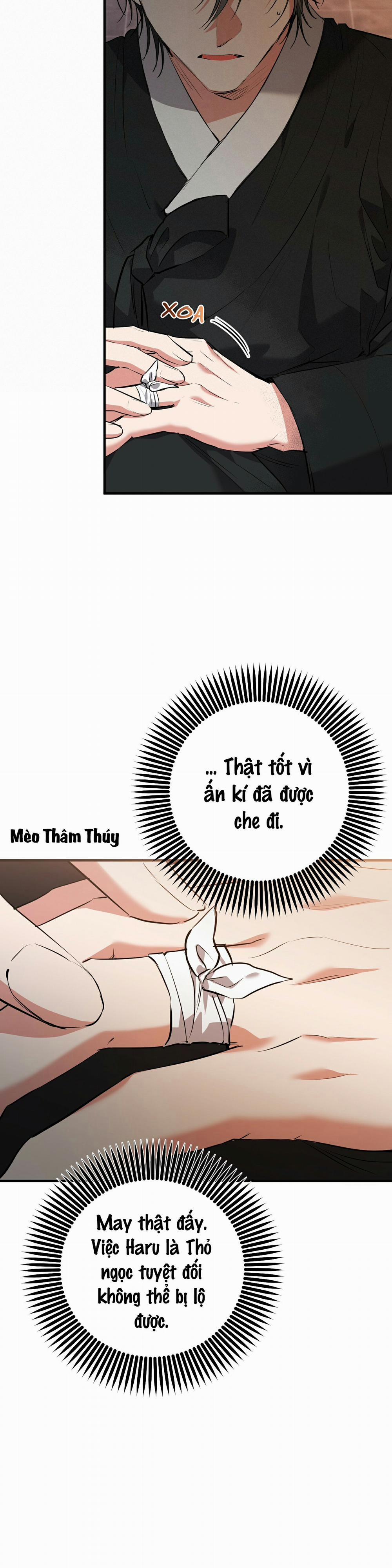 Những Chú Thỏ Của Habibi 49 trang 22