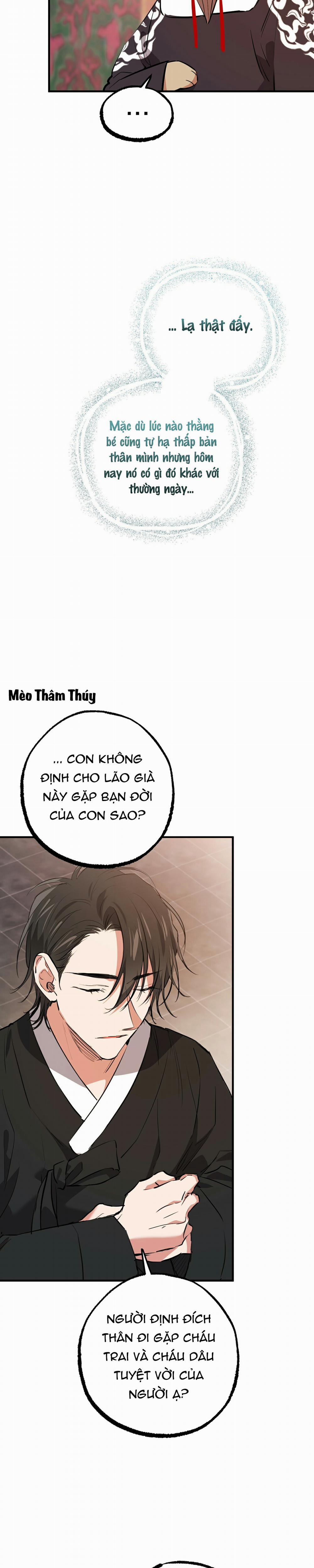 Những Chú Thỏ Của Habibi 49 trang 24