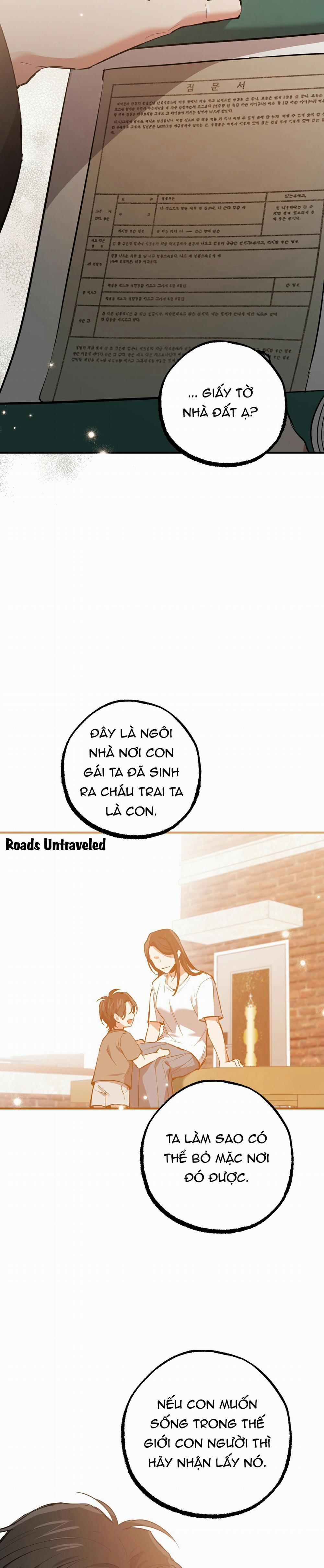 Những Chú Thỏ Của Habibi 49 trang 27