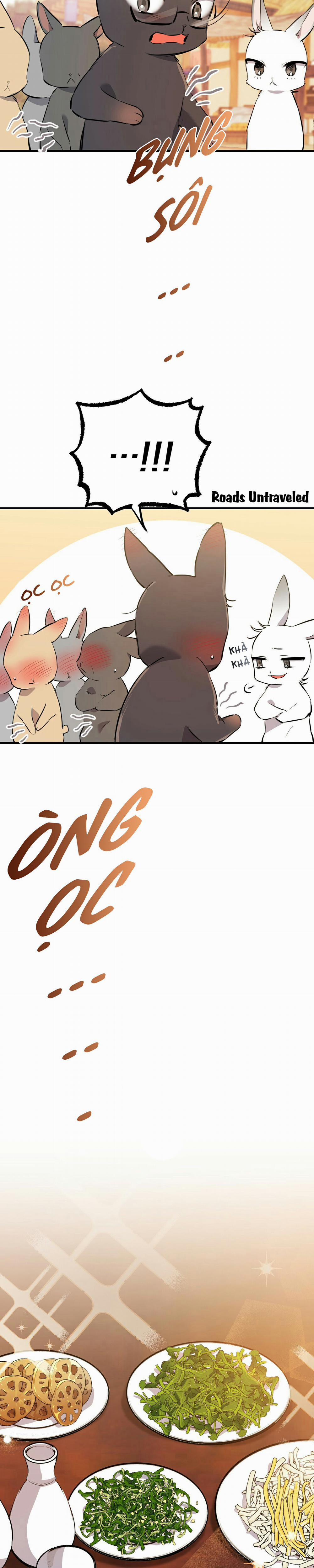 Những Chú Thỏ Của Habibi 49 trang 3