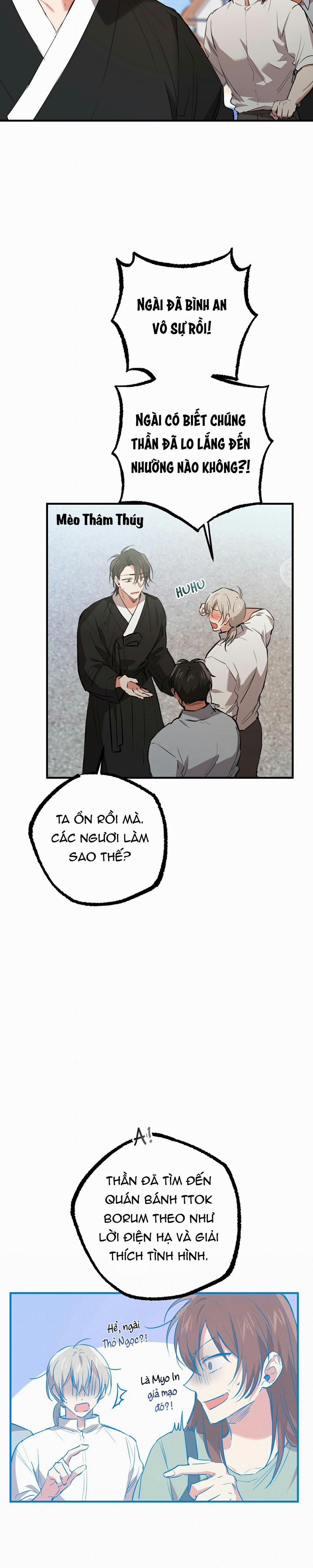 Những Chú Thỏ Của Habibi 49 trang 30