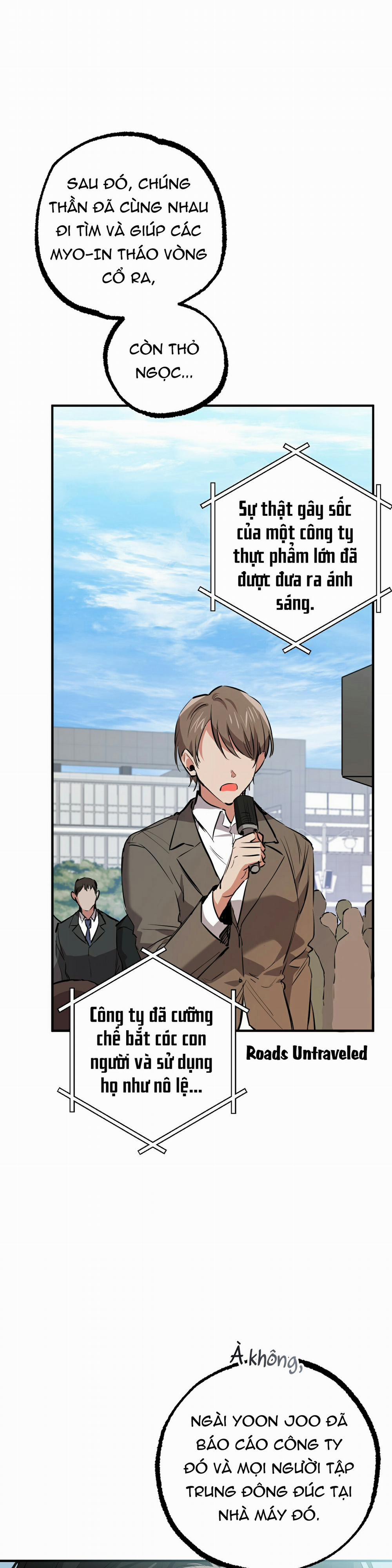 Những Chú Thỏ Của Habibi 49 trang 31