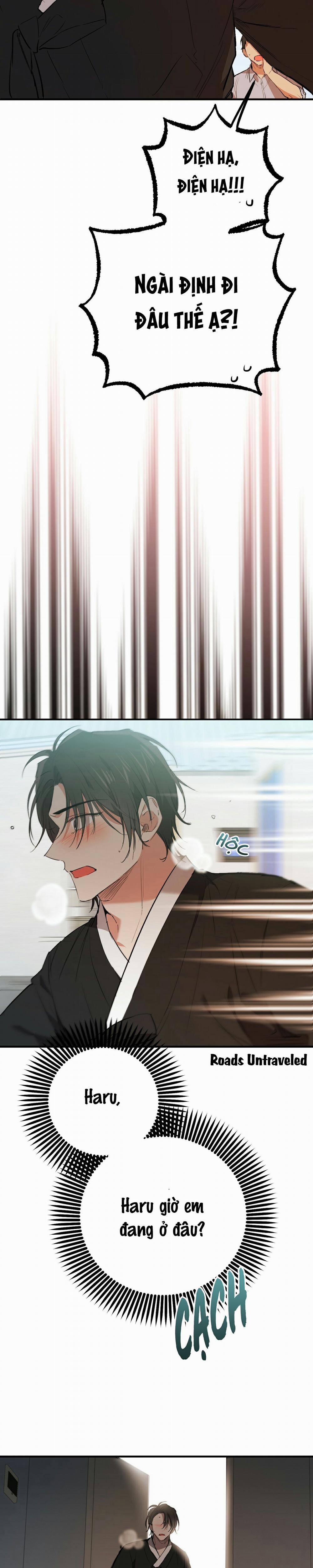 Những Chú Thỏ Của Habibi 49 trang 33