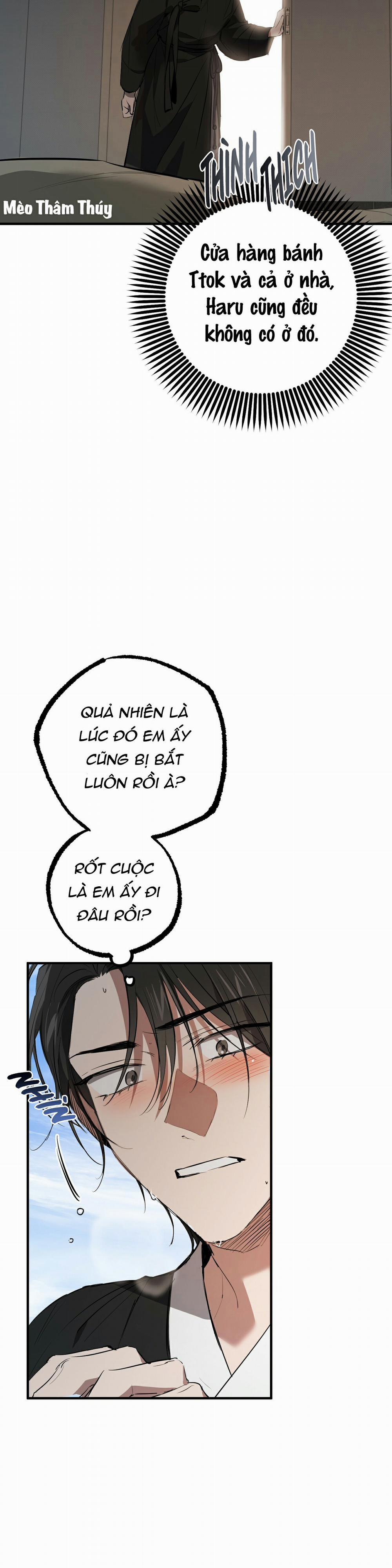 Những Chú Thỏ Của Habibi 49 trang 34