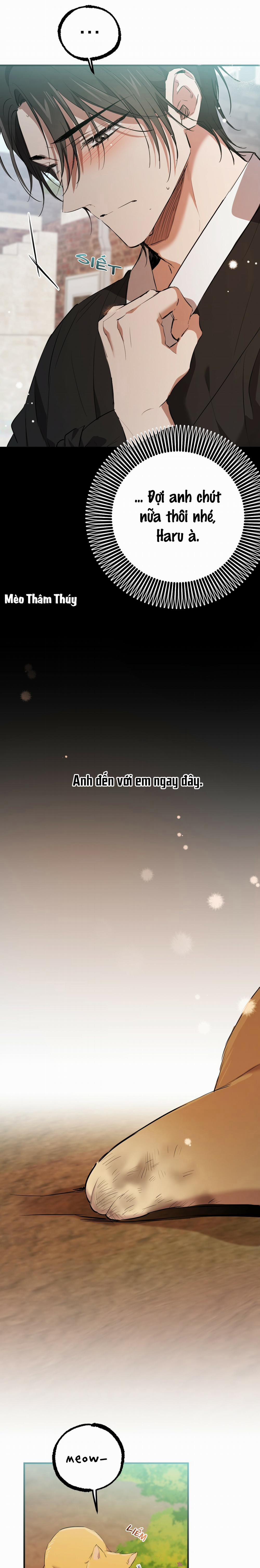 Những Chú Thỏ Của Habibi 49 trang 36