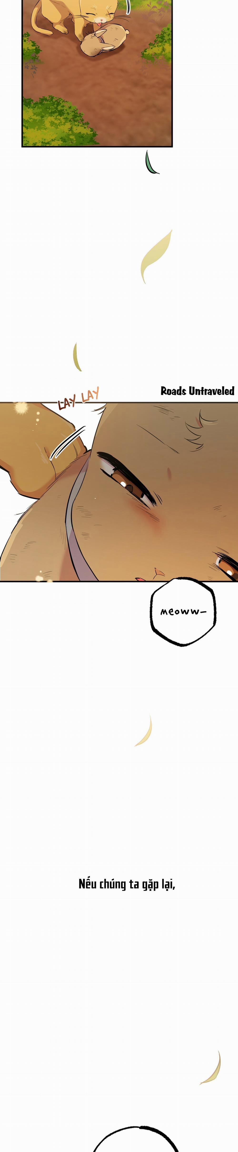 Những Chú Thỏ Của Habibi 49 trang 37