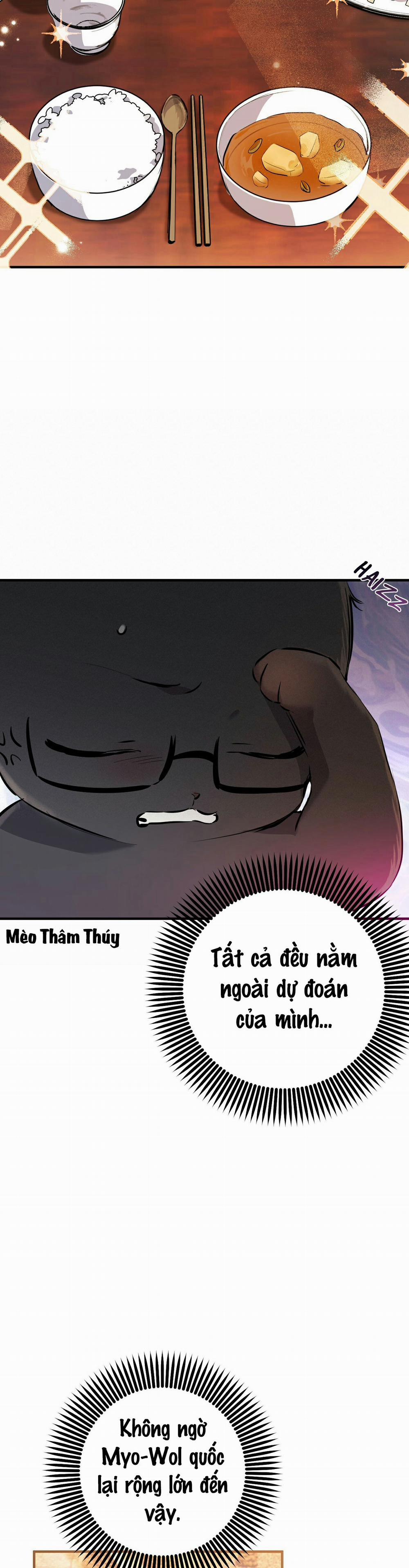 Những Chú Thỏ Của Habibi 49 trang 4