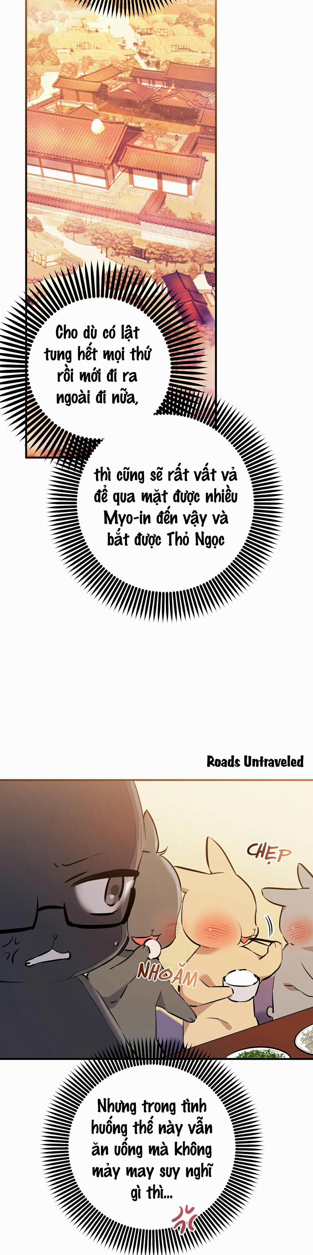 Những Chú Thỏ Của Habibi 49 trang 5