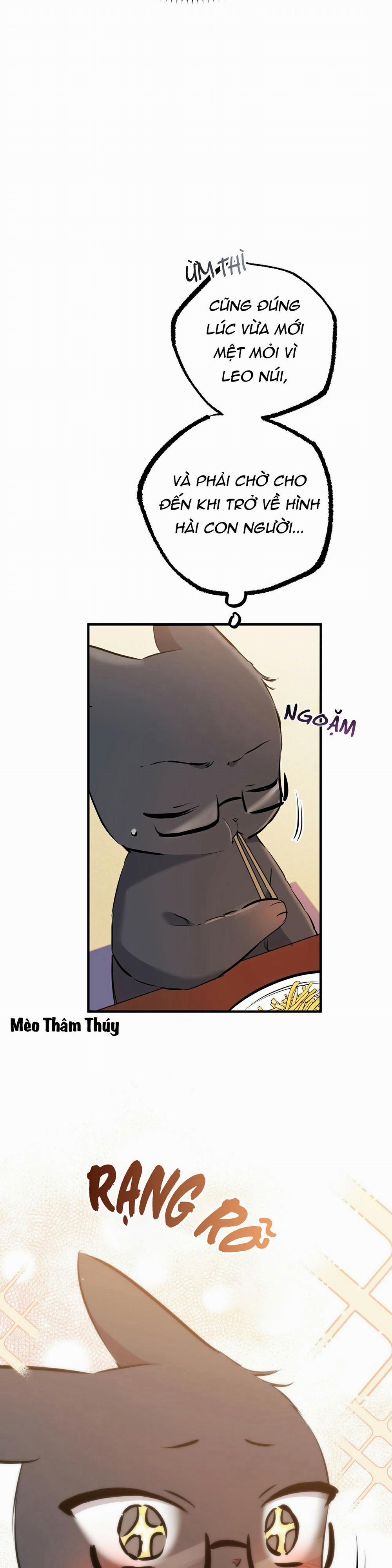 Những Chú Thỏ Của Habibi 49 trang 6