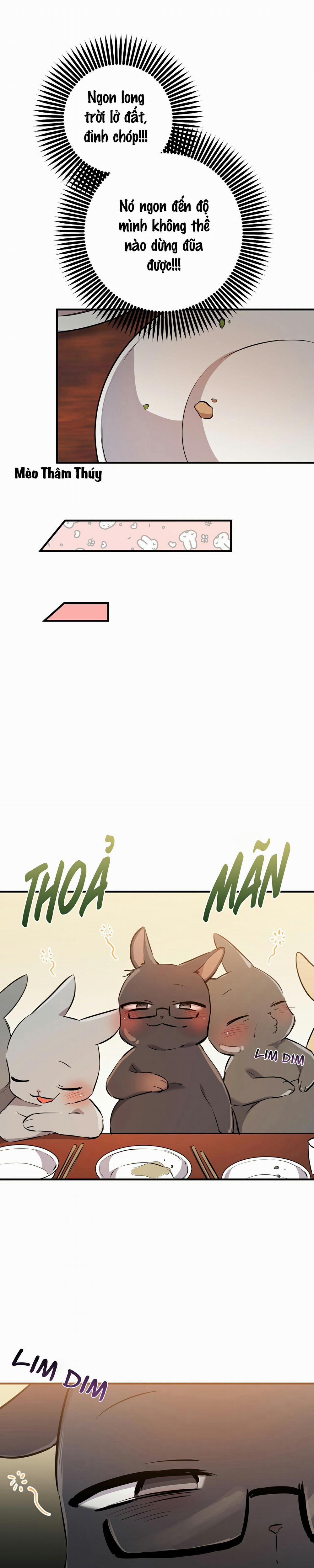 Những Chú Thỏ Của Habibi 49 trang 8