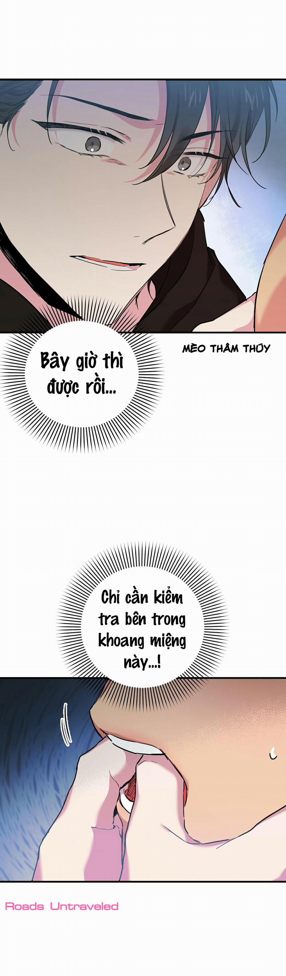 Những Chú Thỏ Của Habibi 5 trang 1