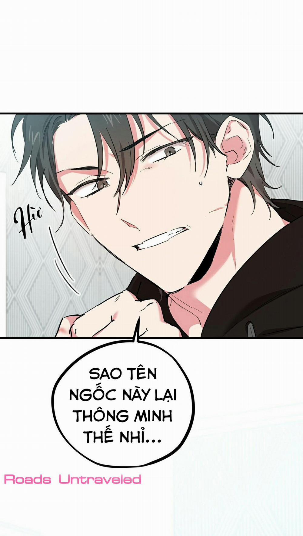 Những Chú Thỏ Của Habibi 5 trang 11