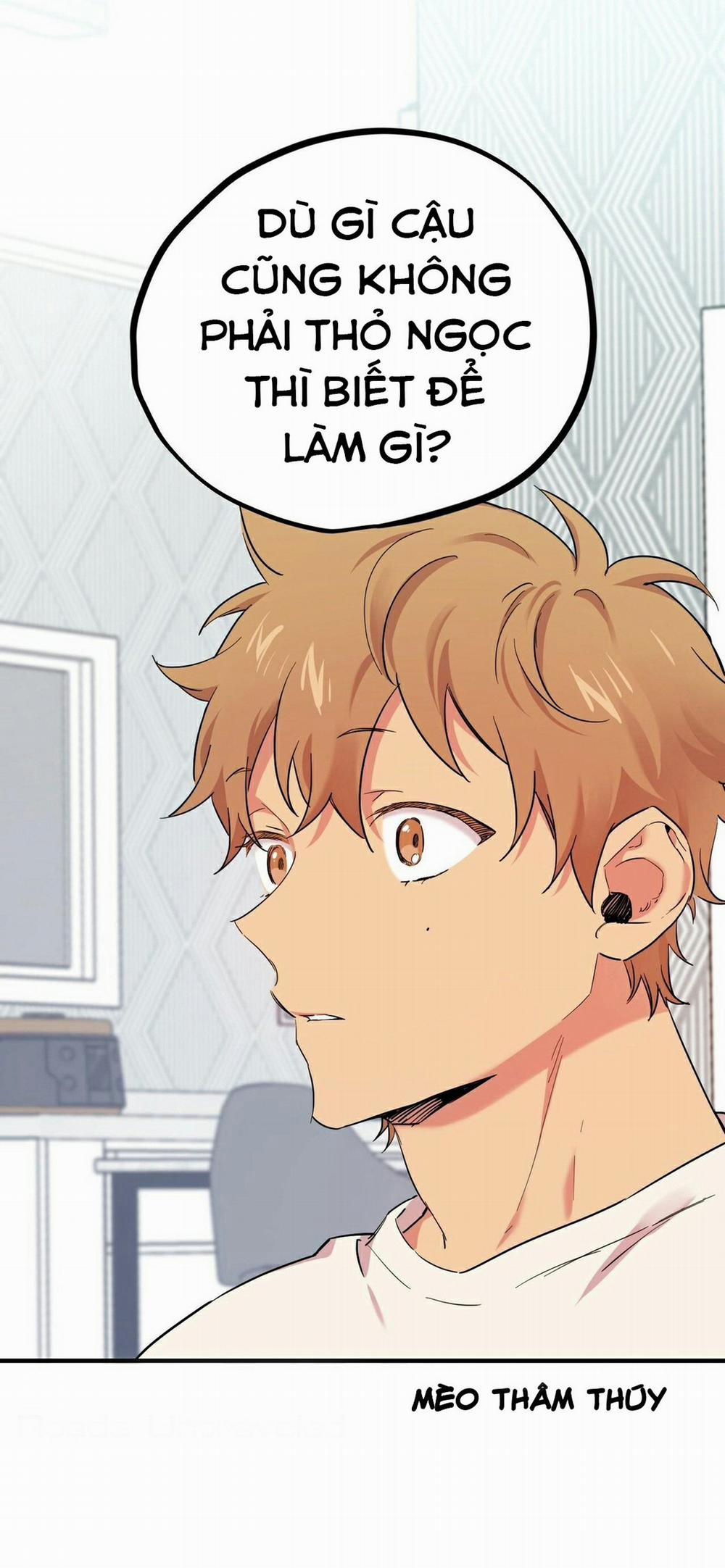 Những Chú Thỏ Của Habibi 5 trang 12