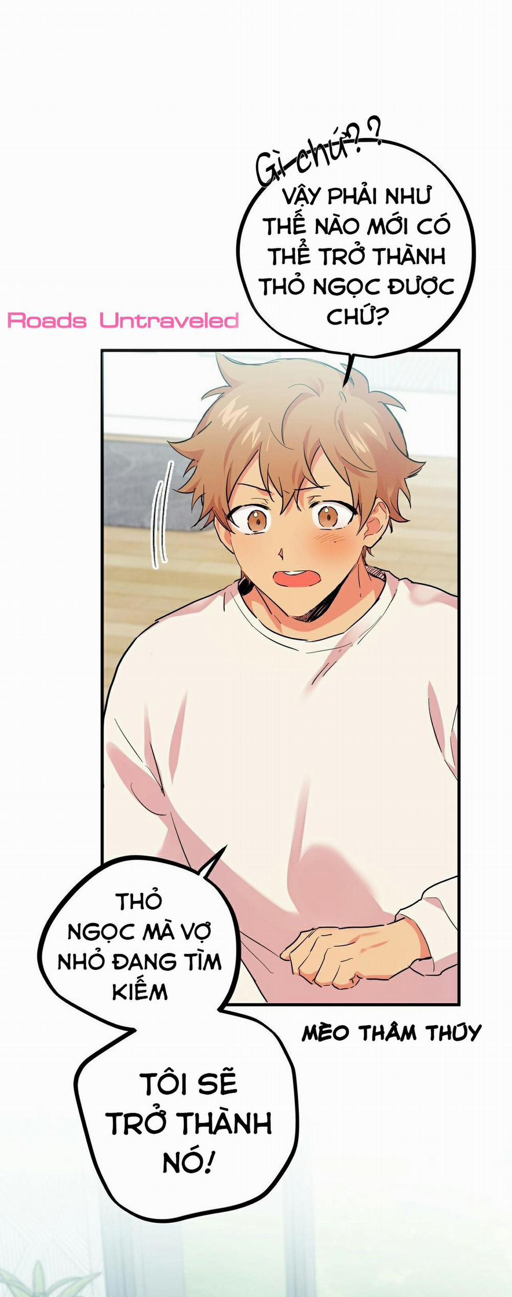 Những Chú Thỏ Của Habibi 5 trang 14