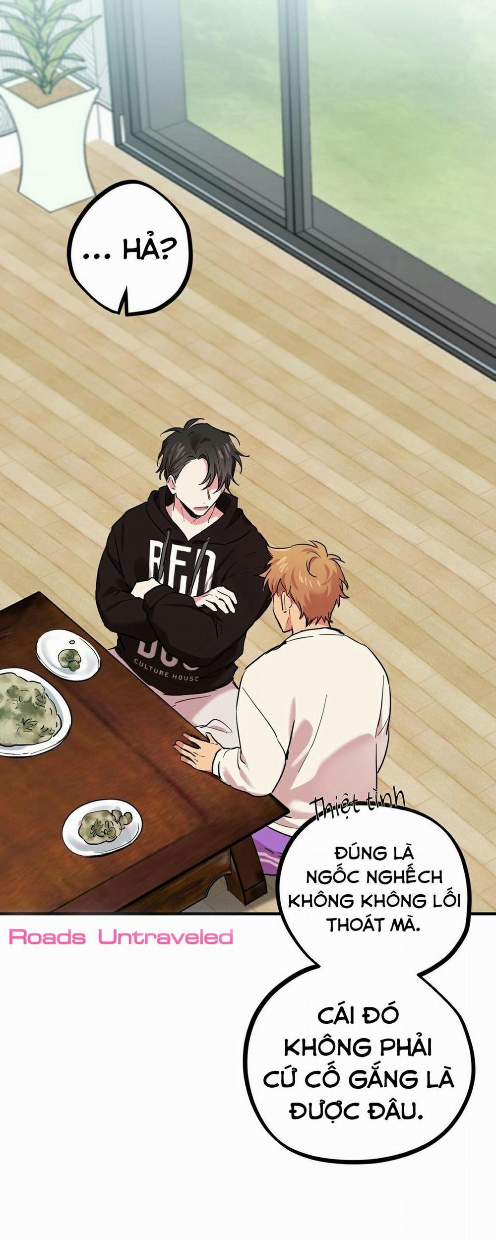 Những Chú Thỏ Của Habibi 5 trang 15