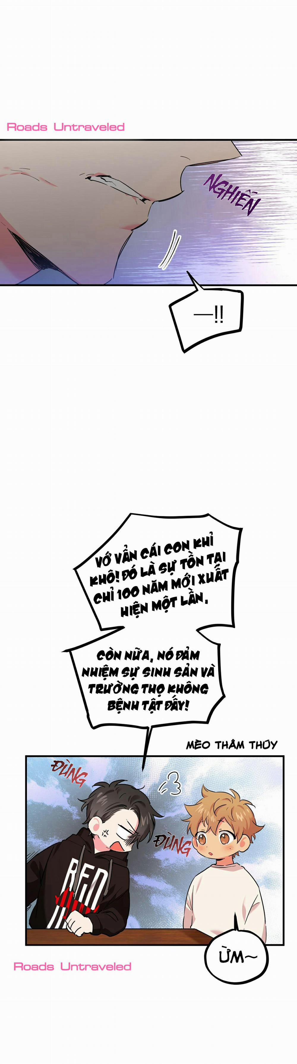 Những Chú Thỏ Của Habibi 5 trang 22