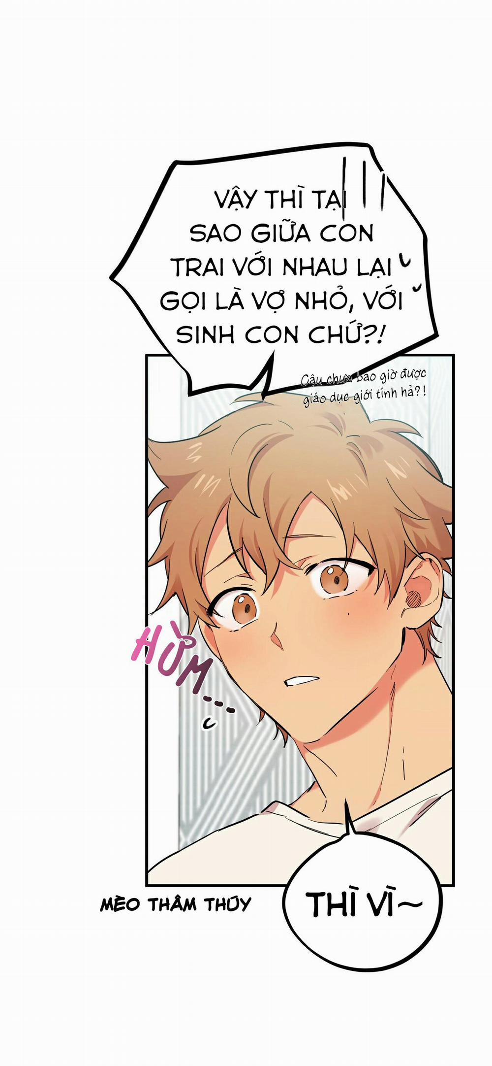 Những Chú Thỏ Của Habibi 5 trang 37