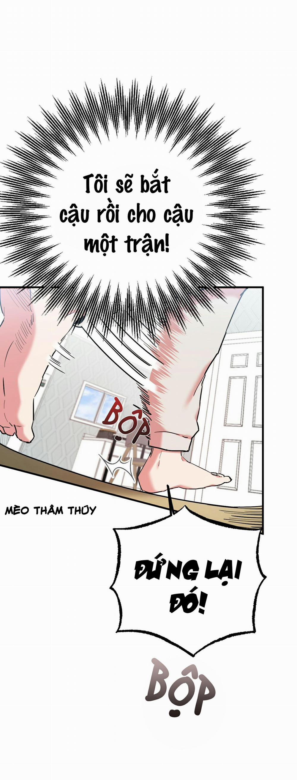 Những Chú Thỏ Của Habibi 5 trang 47