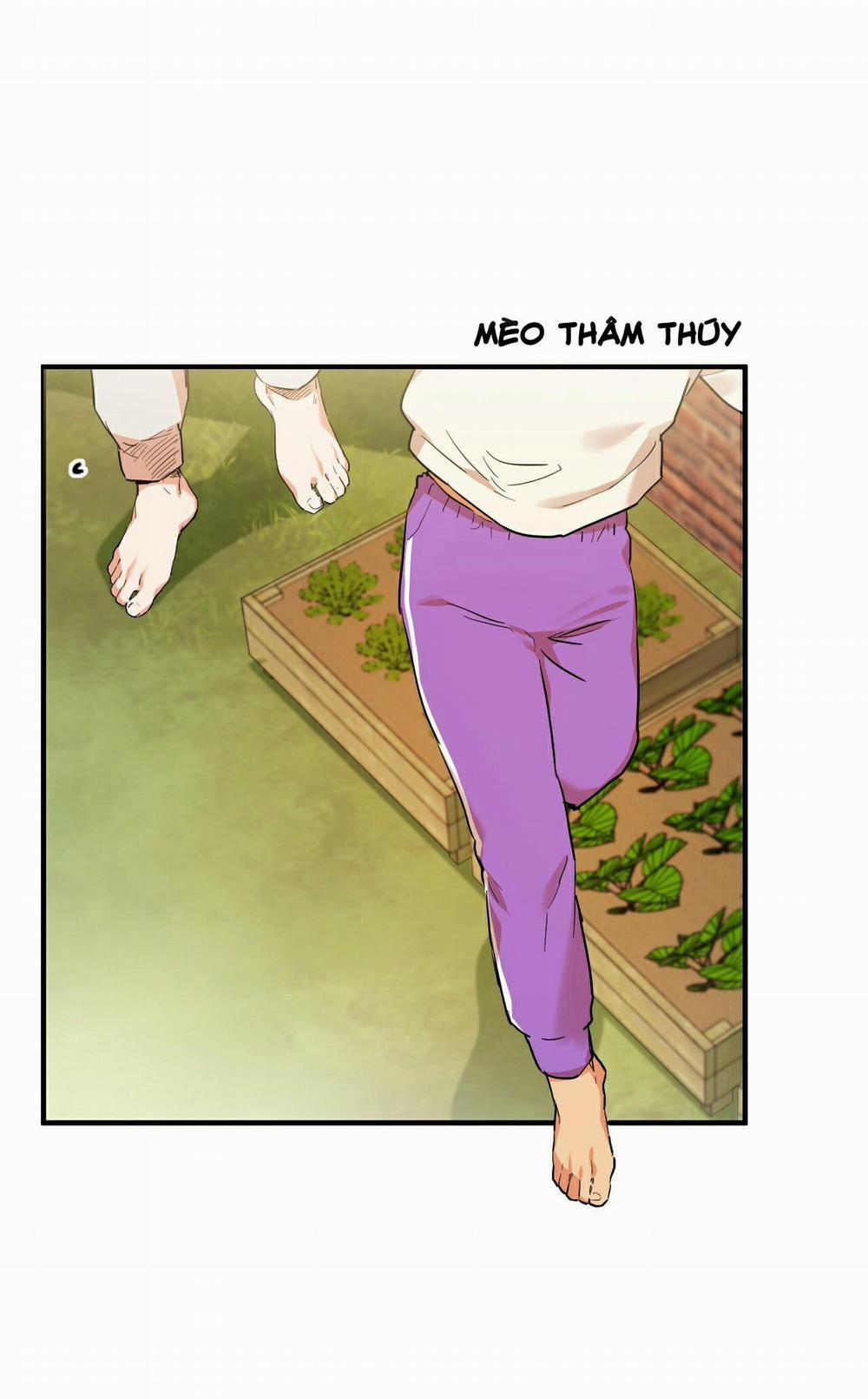 Những Chú Thỏ Của Habibi 5 trang 51