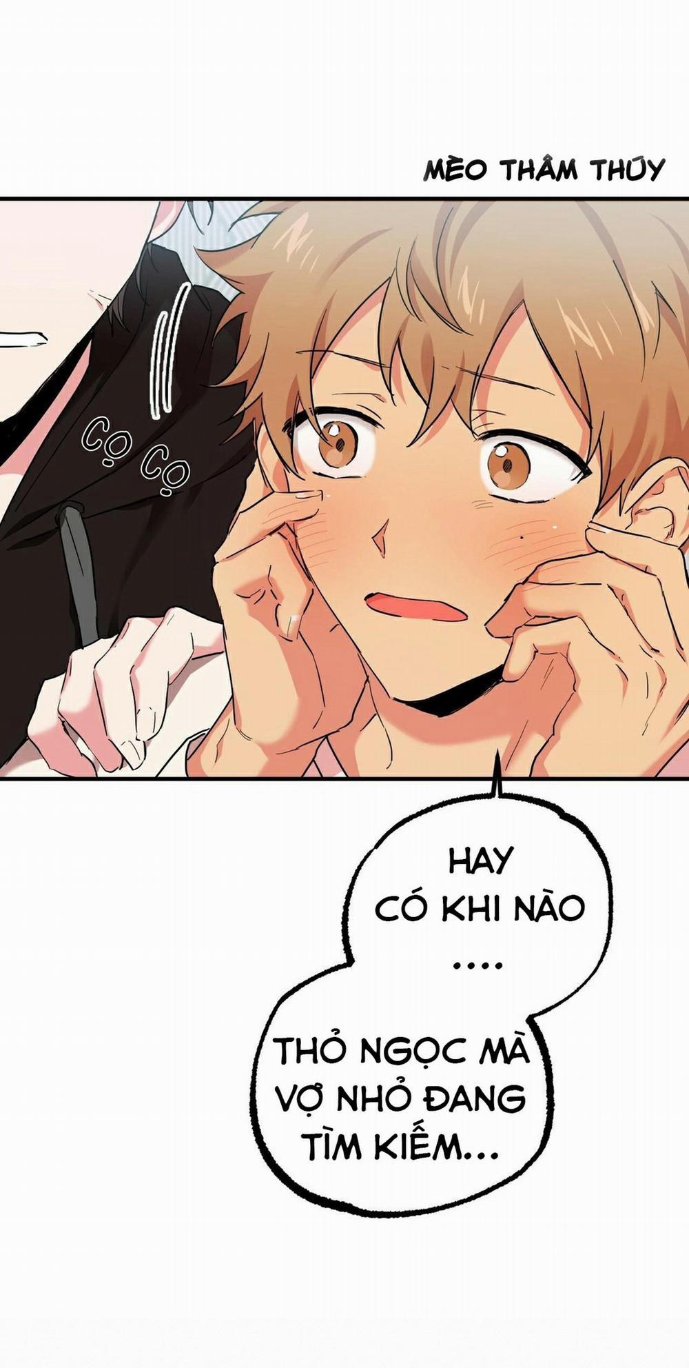 Những Chú Thỏ Của Habibi 5 trang 7