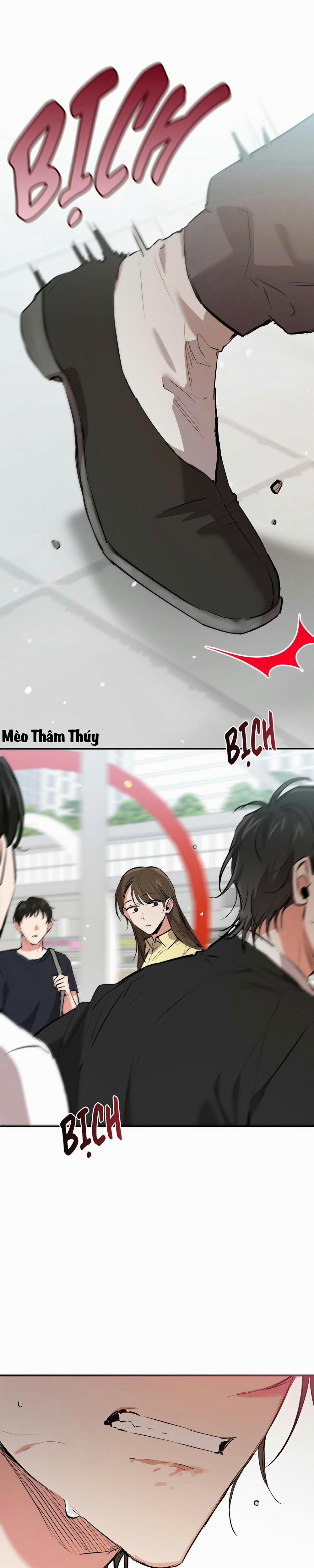 Những Chú Thỏ Của Habibi 50 trang 0