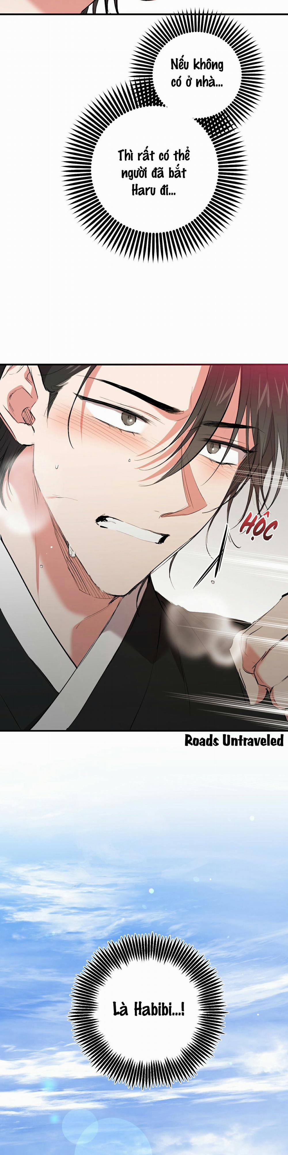 Những Chú Thỏ Của Habibi 50 trang 1