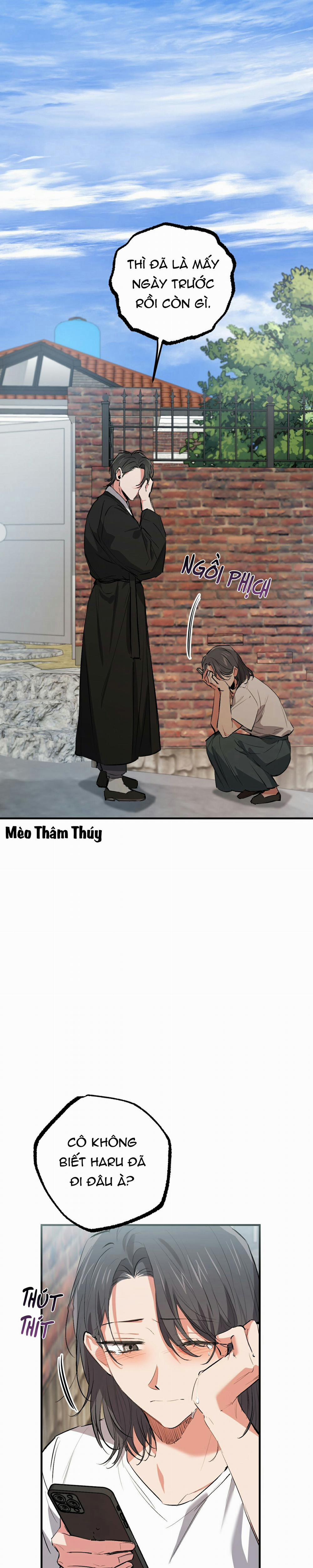 Những Chú Thỏ Của Habibi 50 trang 10