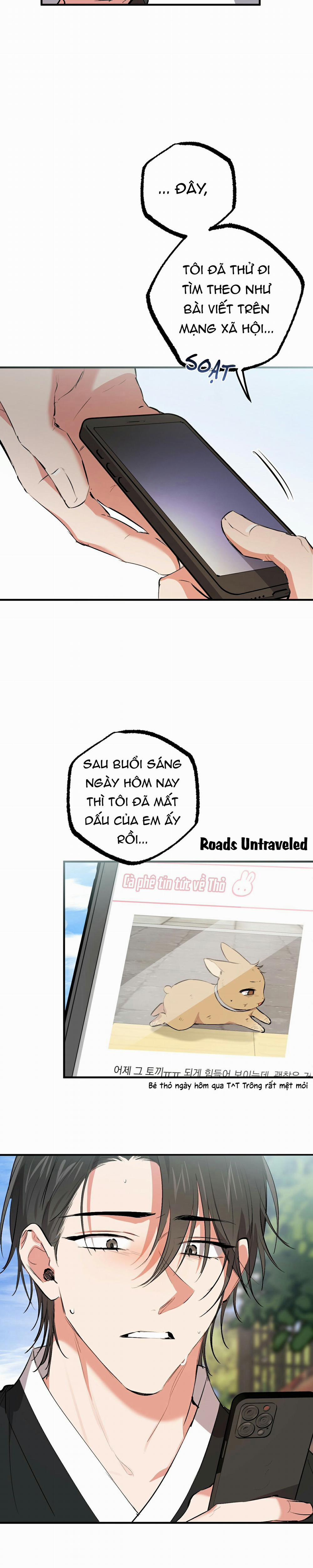 Những Chú Thỏ Của Habibi 50 trang 11