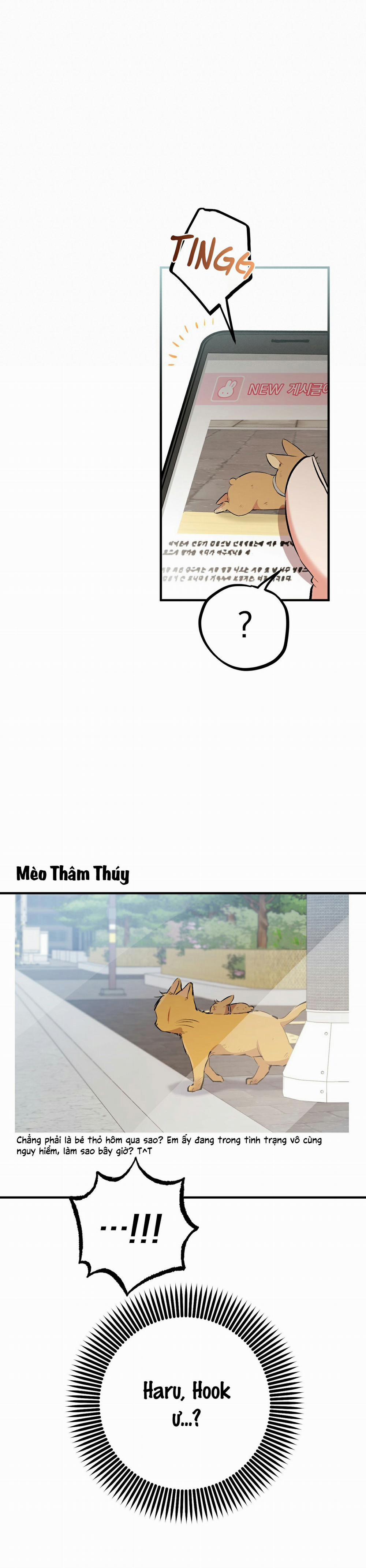 Những Chú Thỏ Của Habibi 50 trang 12