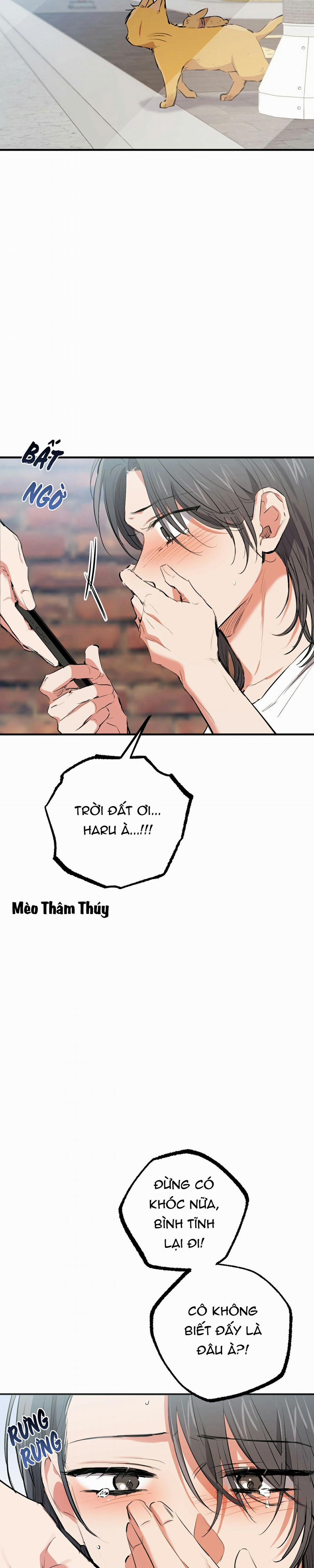 Những Chú Thỏ Của Habibi 50 trang 14