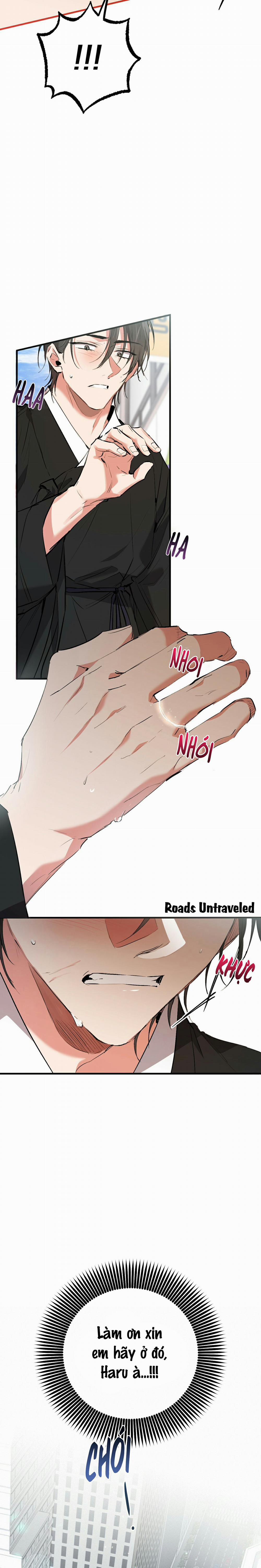 Những Chú Thỏ Của Habibi 50 trang 19