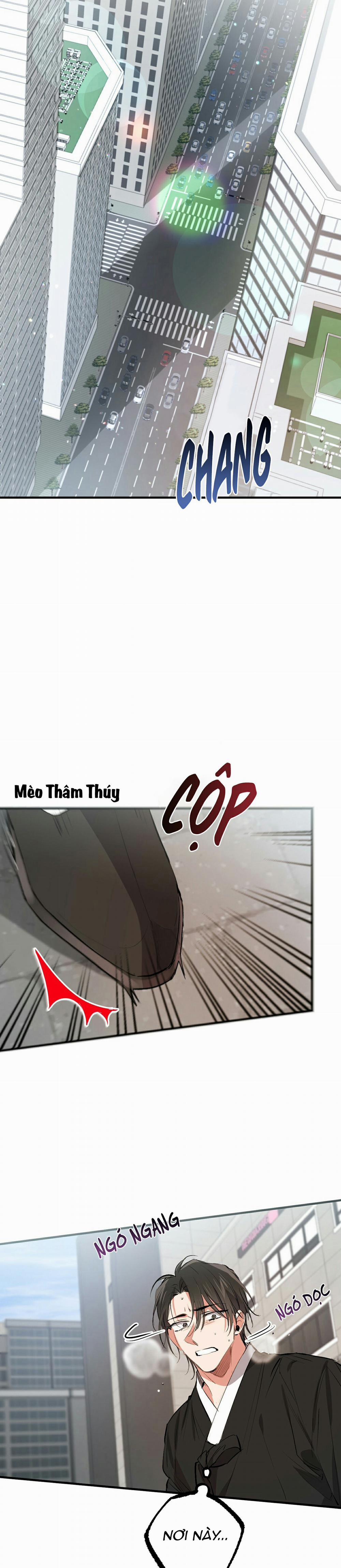 Những Chú Thỏ Của Habibi 50 trang 20