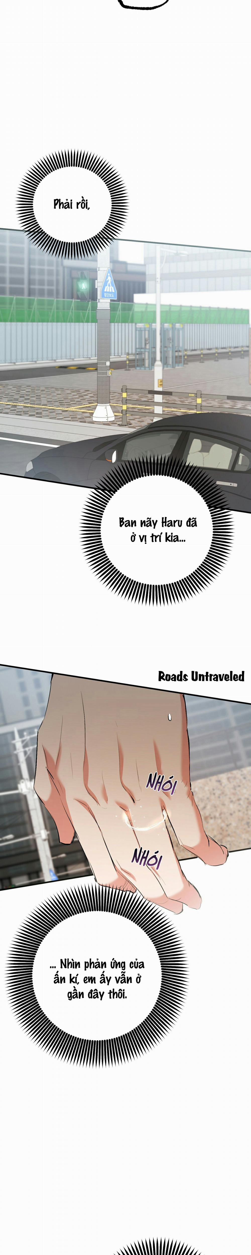 Những Chú Thỏ Của Habibi 50 trang 21