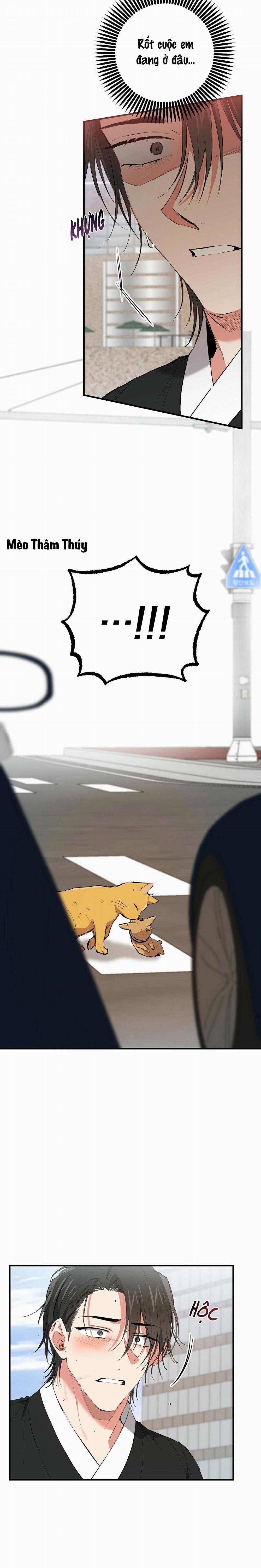 Những Chú Thỏ Của Habibi 50 trang 22