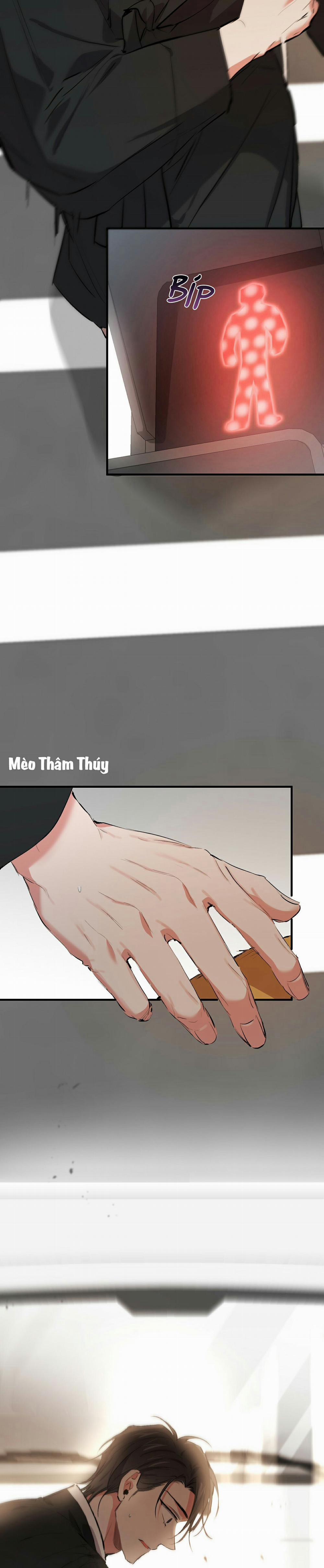 Những Chú Thỏ Của Habibi 50 trang 24