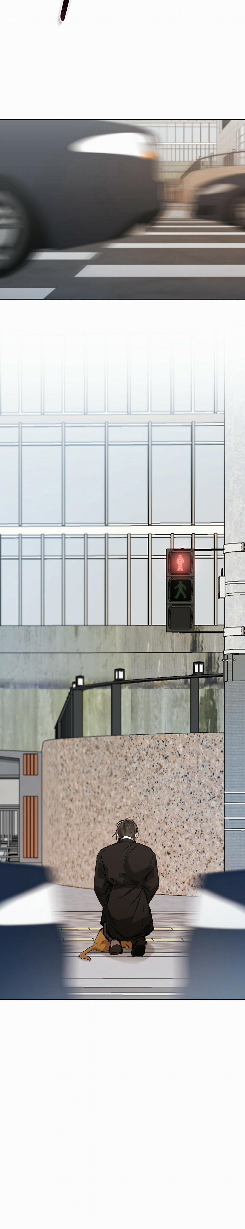 Những Chú Thỏ Của Habibi 50 trang 26