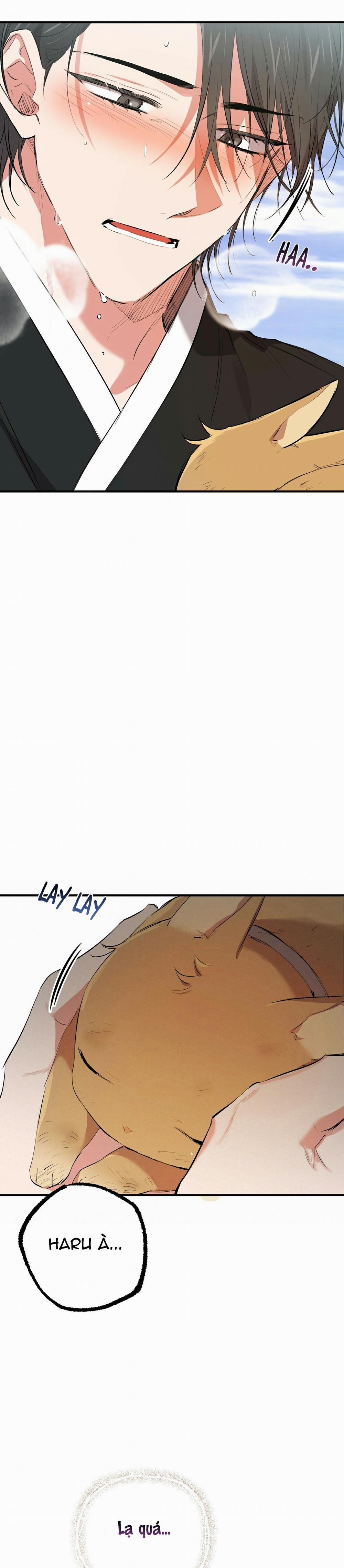 Những Chú Thỏ Của Habibi 50 trang 27