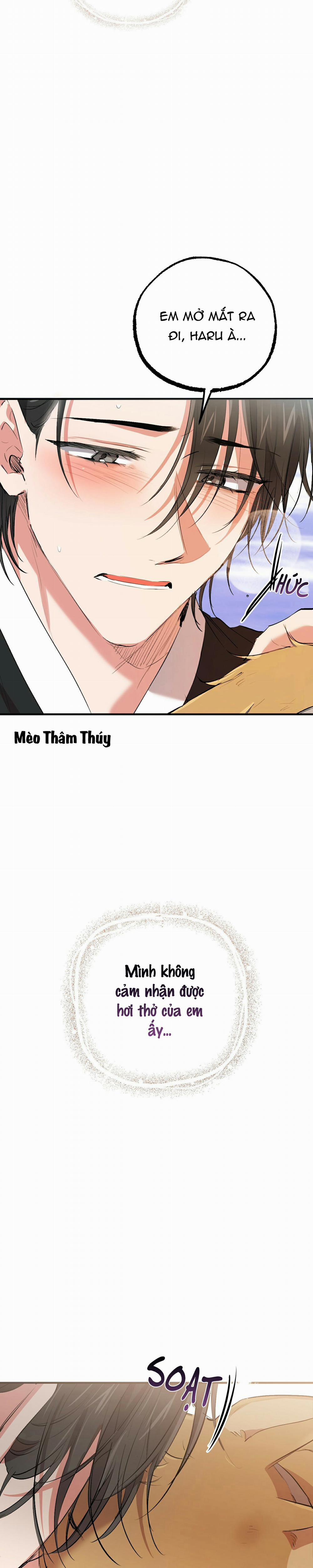 Những Chú Thỏ Của Habibi 50 trang 28