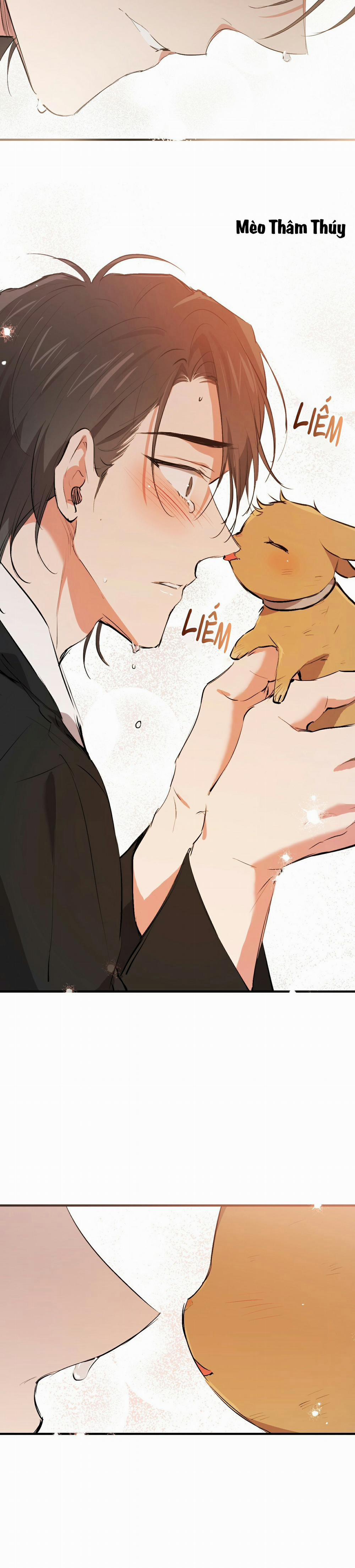 Những Chú Thỏ Của Habibi 50 trang 30